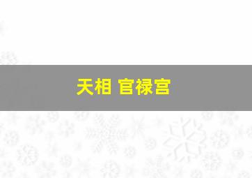 天相 官禄宫